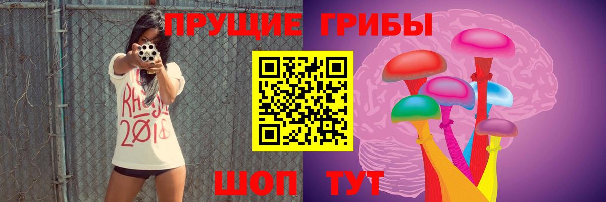 Псилоцибиновые грибы прущие грибы  Вход с VPN  Псилоцибиновые грибы Magic Shrooms  Грозный 