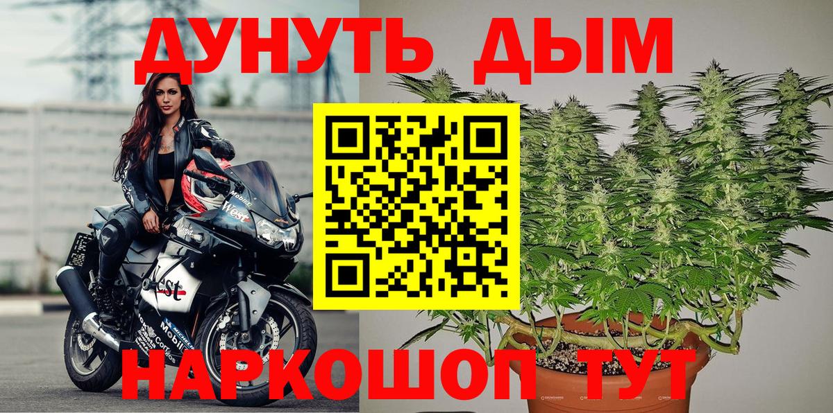Марихуана план  Канабис планчик  Грозный  Вход с VPN 